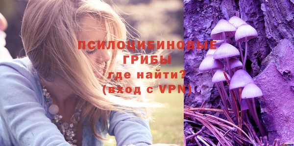 твердый Медвежьегорск