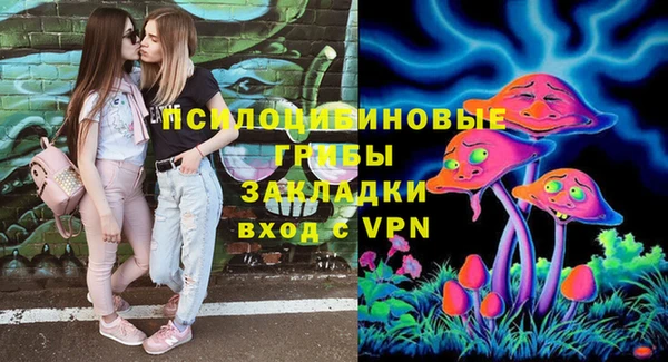 твердый Медвежьегорск