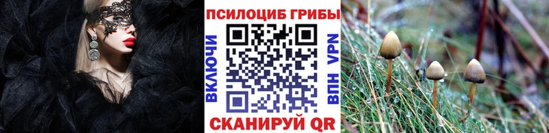 купить наркотик  Островной  Псилоцибиновые грибы Psilocybine cubensis 